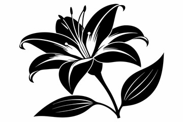 lily silhouette line art vector illustration with a white background