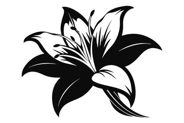 lily silhouette line art vector illustration with a white background