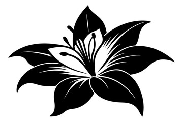 lily silhouette line art vector illustration with a white background