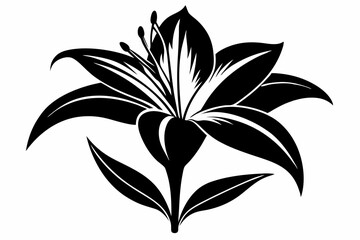lily silhouette line art vector illustration with a white background