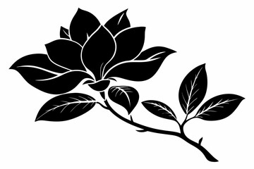 magnolia silhouette line art vector illustration with a white background