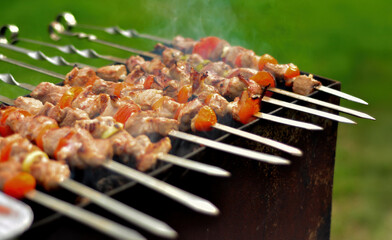 Grilled Oriental Skewers with Marinated Meat and Vegetables