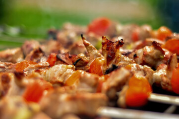 Grilled Meat Skewers with Colorful Vegetables on Charcoal