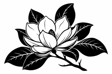 Obraz premium magnolia silhouette line art vector illustration with a white background