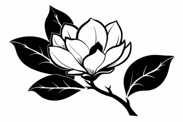 magnolia silhouette line art vector illustration with a white background