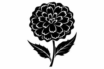 marigold silhouette line art vector illustration with a white background