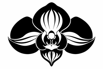 orchid silhouette line art vector illustration with a white background