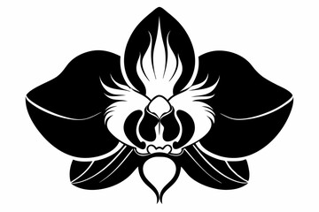 orchid silhouette line art vector illustration with a white background