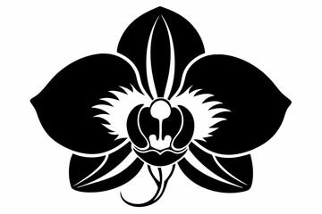 orchid silhouette line art vector illustration with a white background