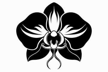 orchid silhouette line art vector illustration with a white background