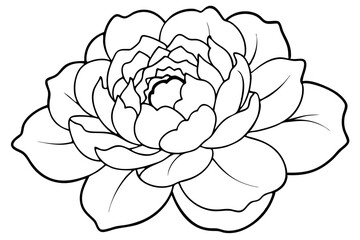 peony silhouette line art vector illustration with a white background