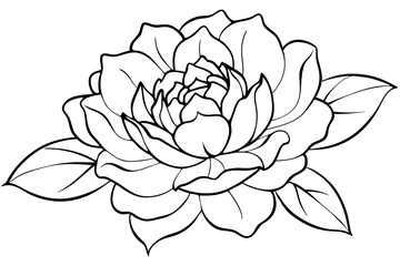 Fototapeta premium peony silhouette line art vector illustration with a white background