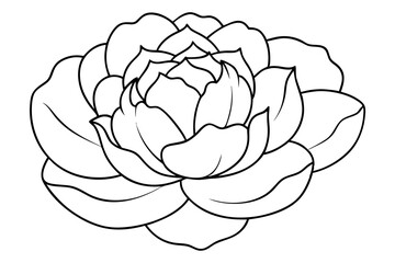 peony silhouette line art vector illustration with a white background
