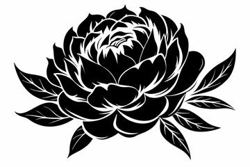 peony silhouette line art vector illustration with a white background