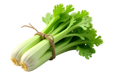 Fototapeta premium Fresh Organic Celery or Leafy Herb Vegetable Tied with Rope – Realistic 3D Illustration for Clean Eating, Plant-Based Diet, Healthy Cooking, and Eco-Friendly Food Concepts.