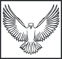 Black and white line art illustration of a bird with wings fully spread in flight