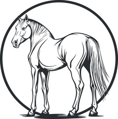 Black and white line drawing of a horse standing inside a circular frame with detailed anatomy.