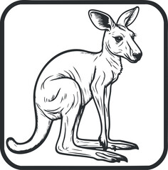 Black and white line art illustration of a sitting kangaroo in side profile with detailed features.