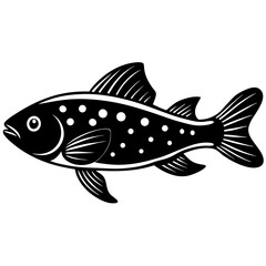 fish on a white background
