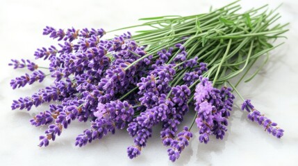 Purple lavender flowers bouquet floral bunch nature still life floral photography aromatherapy spa wellness