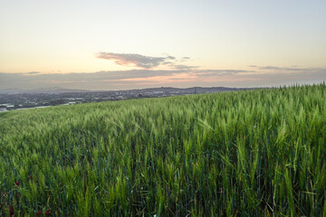 African countryside, Spring day landscape of fields, meadows and hills with mountains in the...