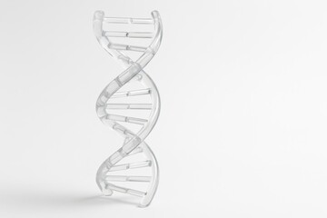 A 3D transparent model of a DNA double helix stands vertically on a white background, symbolizing genetic science, biotechnology, and molecular biology.