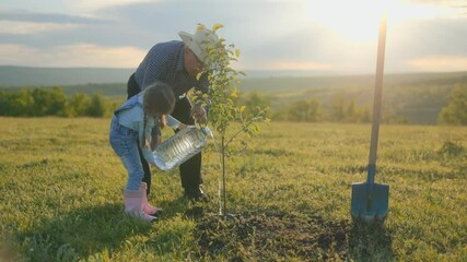 Grandfather and Granddaughter Water a Young Tree at Sunset in Field