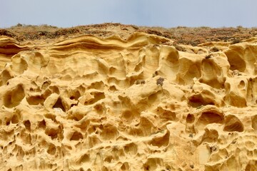Cool Sedimentary Rock formations cliffs at Torrey Pines State Reserve San Diego California