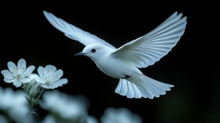 White bird in flight near white blossoms
