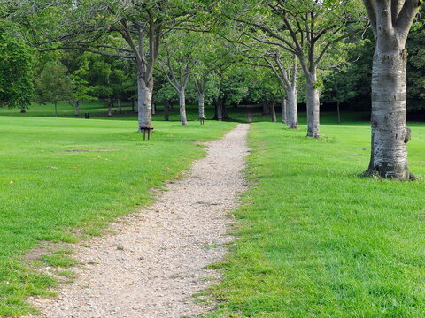 View of a gravel path across a tree lined grass lawn in a beautiful park 