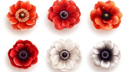 A stark black background provides the setting for five stylized flowers with varying colors to showcase their vibrant hues and intricate details