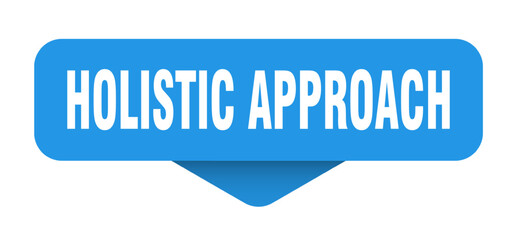 holistic approach sticker. holistic approach sign on transparent background