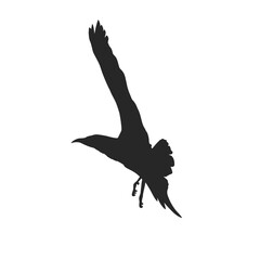 Silhouettes of flying seagulls hovering without background