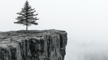 Solitary tree on a rocky precipice overlooking a misty landscape