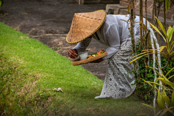 Person Making Offerings in a Traditional Balinese Temple