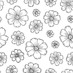 Seamless pattern of chamomile flowers in sketch style on a white background.