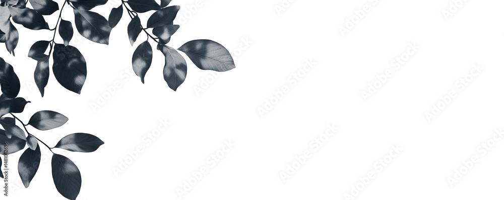 Poster abstract shadow of leaves on a transparent background the leaves cast a delicate and dappled pattern