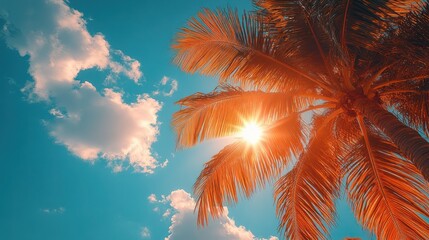 Obraz premium Tropical Sunrise Palm Tree