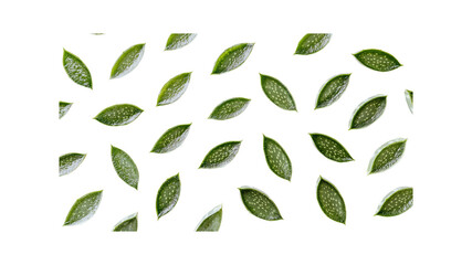 Scattered Aloe Vera Leaves on Transparent Background Natural Beauty and Skincare Concept