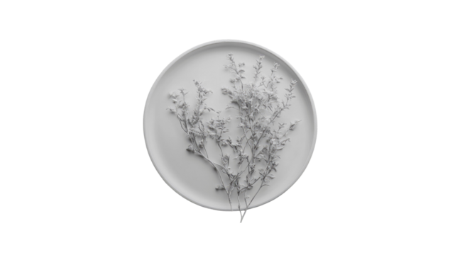 Monochrome Still Life Dried Flowers on a White Plate