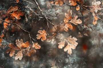 Autumnal frosted leaves
