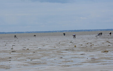 Passage du gois vendée, uniquement possible a Marée basse. France 