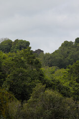 clouds over the mountains