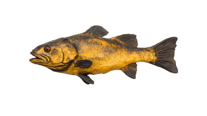 Close-up of a Yellow and Black Freshwater Fish on Transparent Background