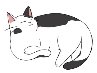 白黒猫 ひじおき