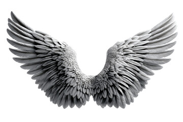 Obraz premium Ethereal Ascent: A captivating studio shot reveals detailed, textured angel wings, their feathers elegantly spread, symbolizing freedom, aspiration, and spiritual grace. 