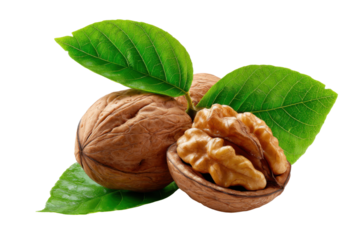 Nutritious Walnut and Fresh Greenery: a detailed close-up of a walnut showcasing both its outer shell and inner flesh, complemented by vibrant green leaves that highlight its freshness