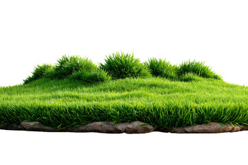 Vibrant Green Hillock of Life: A detailed capture of vibrant green grass and natural forms showcases a flourishing patch of life, highlighting textures and freshness.