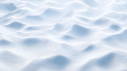 Obraz premium Vast Glaciers and Pure White Snow Landscapes in the Wilderness