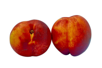 Two fresh, vibrant nectarines on a clean white background.